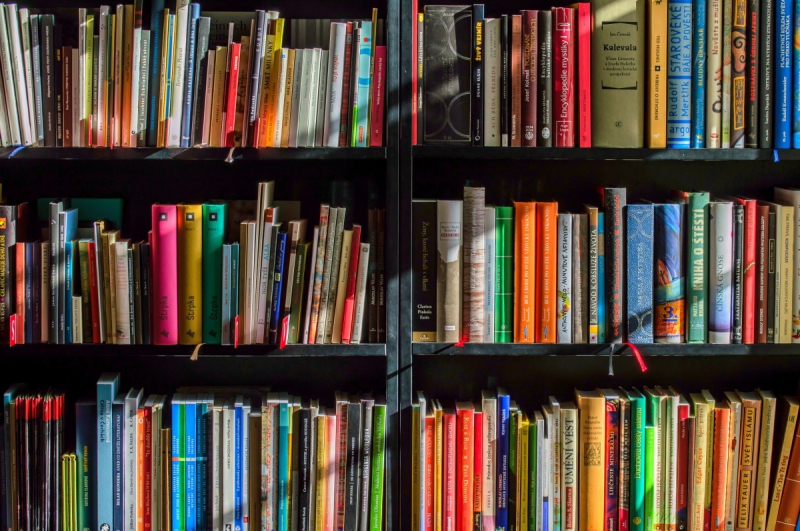vitrine-ST MARTIN VESUBIE-min_books_bookstore_book_reading_shop_writer_sale_books_read-822866